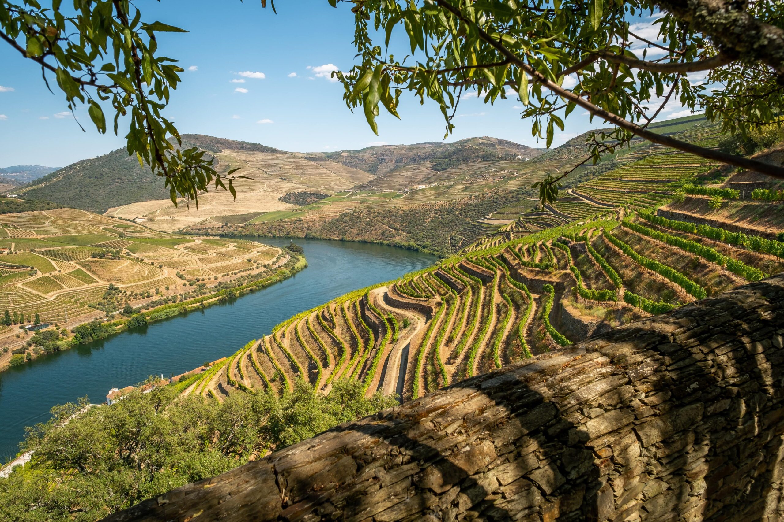 Provesende Douro Villas - Casas de Campo