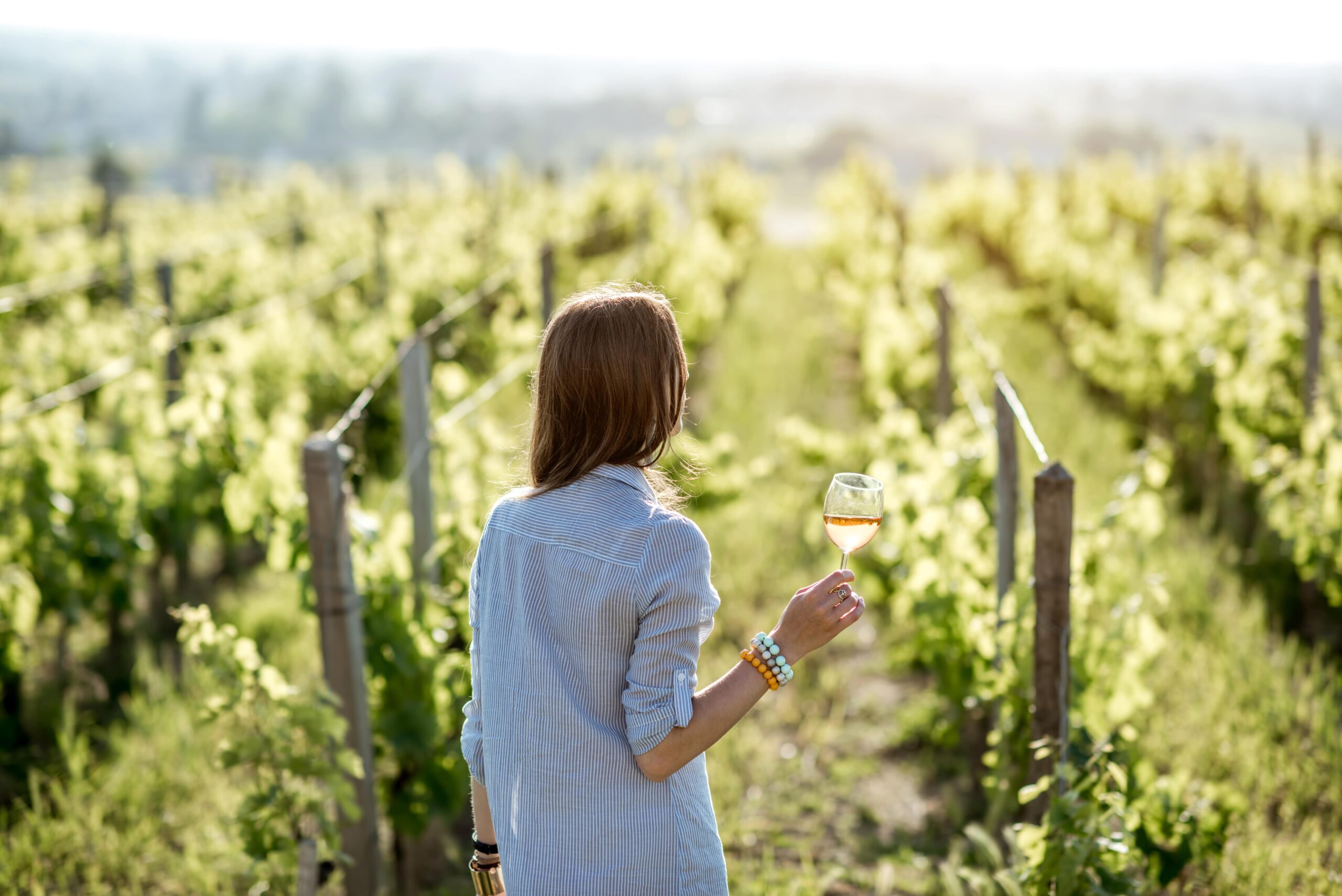 Experiências - Provesende Douro Villas - Casas de Campo Prova de Vinho