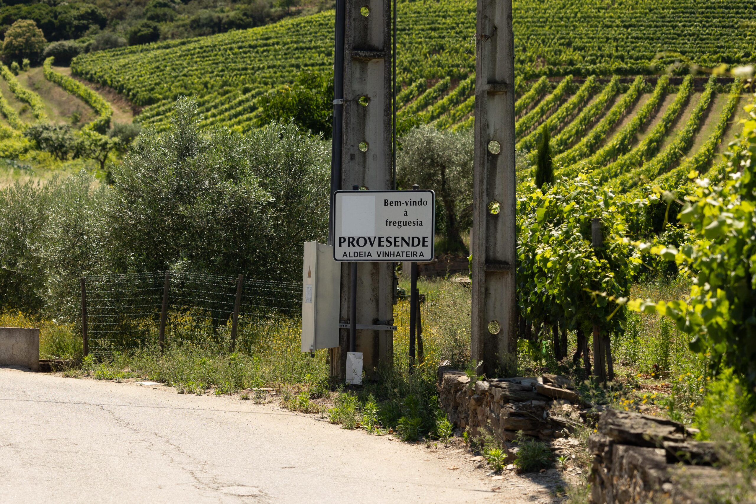O que visitar - Provesende Douro Villas - Casas de Campo Provesende Douro Villas - Country Houses