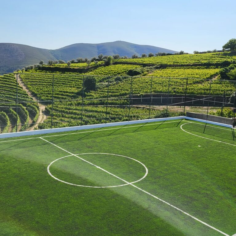 Provesende Douro Villas