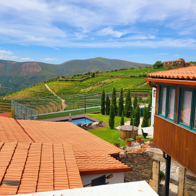 Provesende Douro Villas