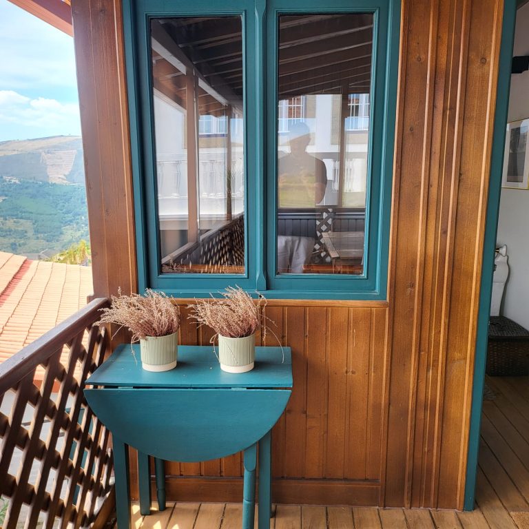 Provesende Douro Villas
