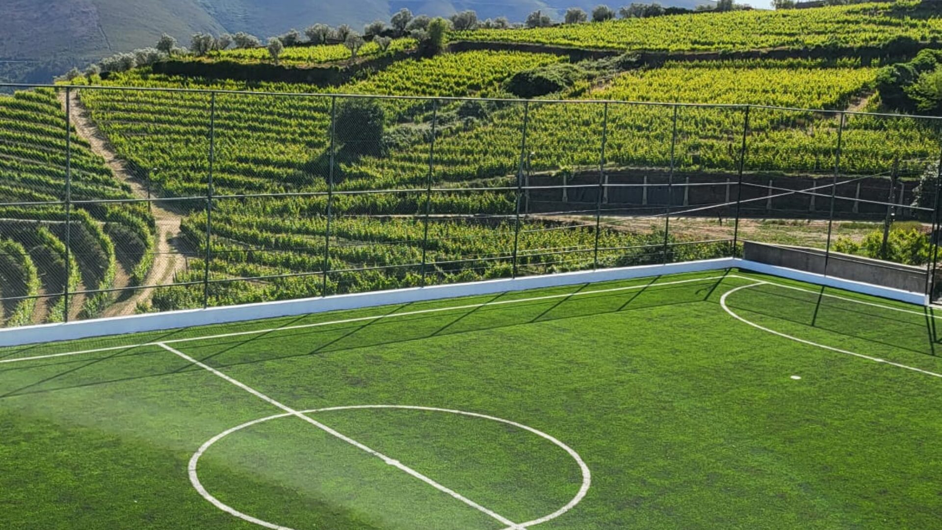 Provesende Douro Villas